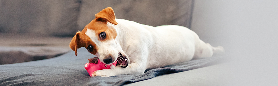 Weitere Informationen: